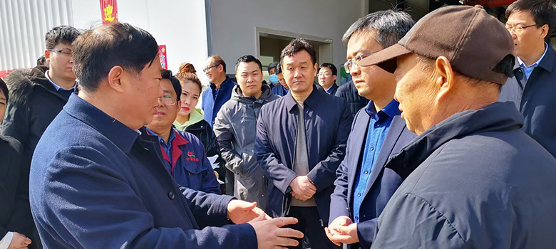 公司新闻